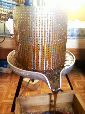 Recogiendo la miel del primer prensado, elaboración natural.