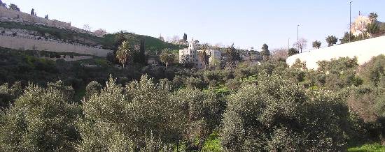 El huerto de los olivos